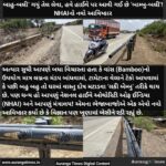 બાહુ-બલી’ ગયું તેલ લેવા, હવે હાઈવે પર આવી ગઈ છે ‘બામ્બુ-બલી’! NHAIનો નવો કીમિયો