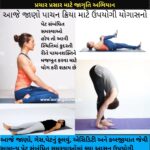 વલસાડ જિલ્લા આયુર્વેદ શાખા અને માહિતી કચેરી દ્વારા યોગના પ્રચાર પ્રસાર માટે જાગૃતિ અભિયાન