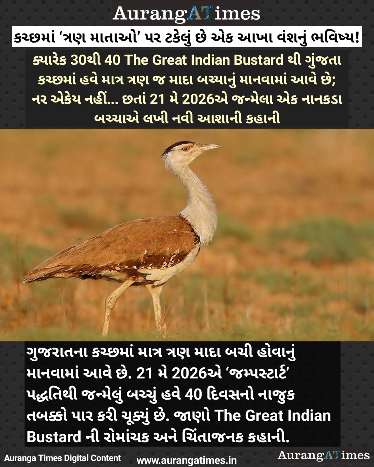 કચ્છમાં ‘ત્રણ માતાઓ’ પર ટકેલું છે એક આખા વંશનું ભવિષ્ય!