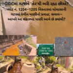 વેદોમાં પ્રકૃતિને ‘માતા’ કહી… વાપી GIDCમાં ગટરોને ‘ઝેર’થી ભરી રહ્યા છીએ?