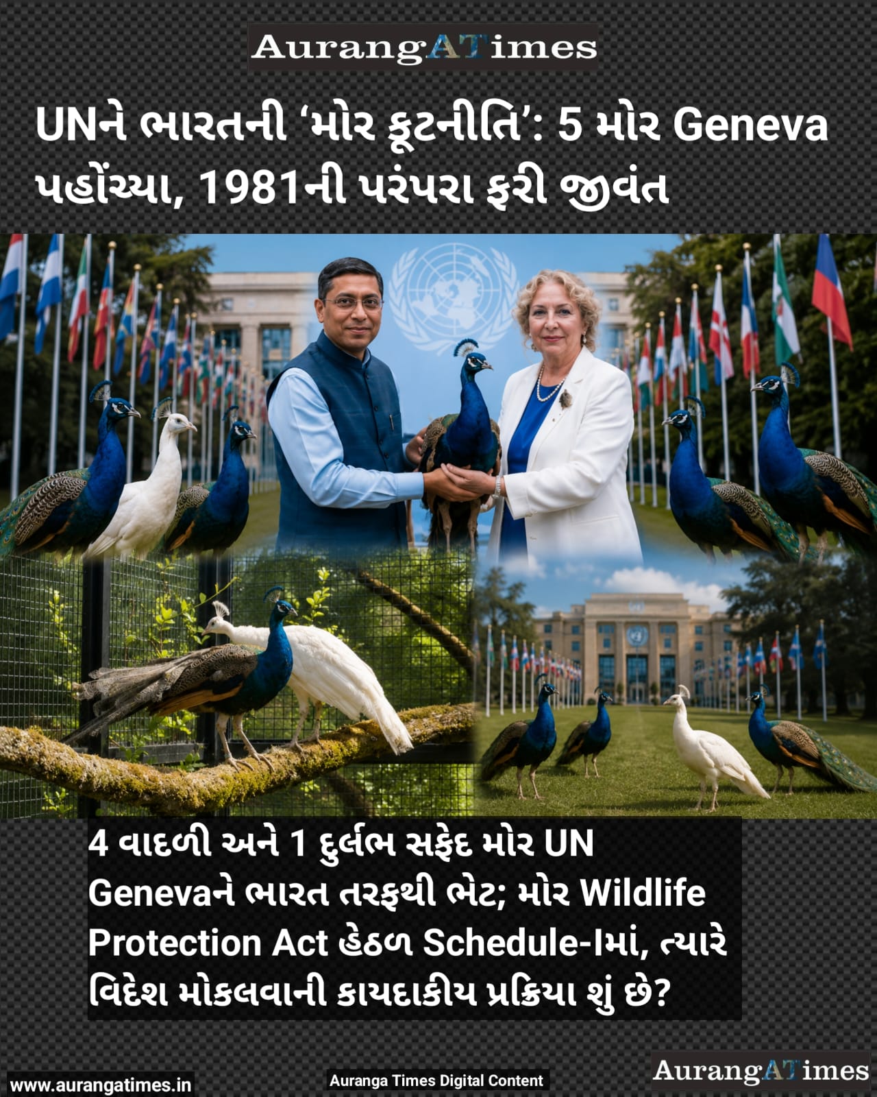 UNને ભારતની ‘મોર કૂટનીતિ’: 5 મોર Geneva પહોંચ્યા, 1981ની પરંપરા ફરી જીવંત