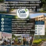 Vapi Industries Association: CSRમાં VIAની ભૂમિકા કેટલી? દસ્તાવેજોમાં ₹24 લાખનો સ્પષ્ટ પ્રોજેક્ટ, હવે 10 વર્ષની સંપૂર્ણ તપાસ જરૂરી