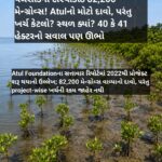 વલસાડના દરિયાકાંઠે 82,200 મેન્ગ્રોવ્સ! Atulનો મોટો દાવો, પરંતુ ખર્ચ કેટલો? સ્થળ ક્યાં? 40 કે 41 હેક્ટરનો સવાલ પણ ઊભો