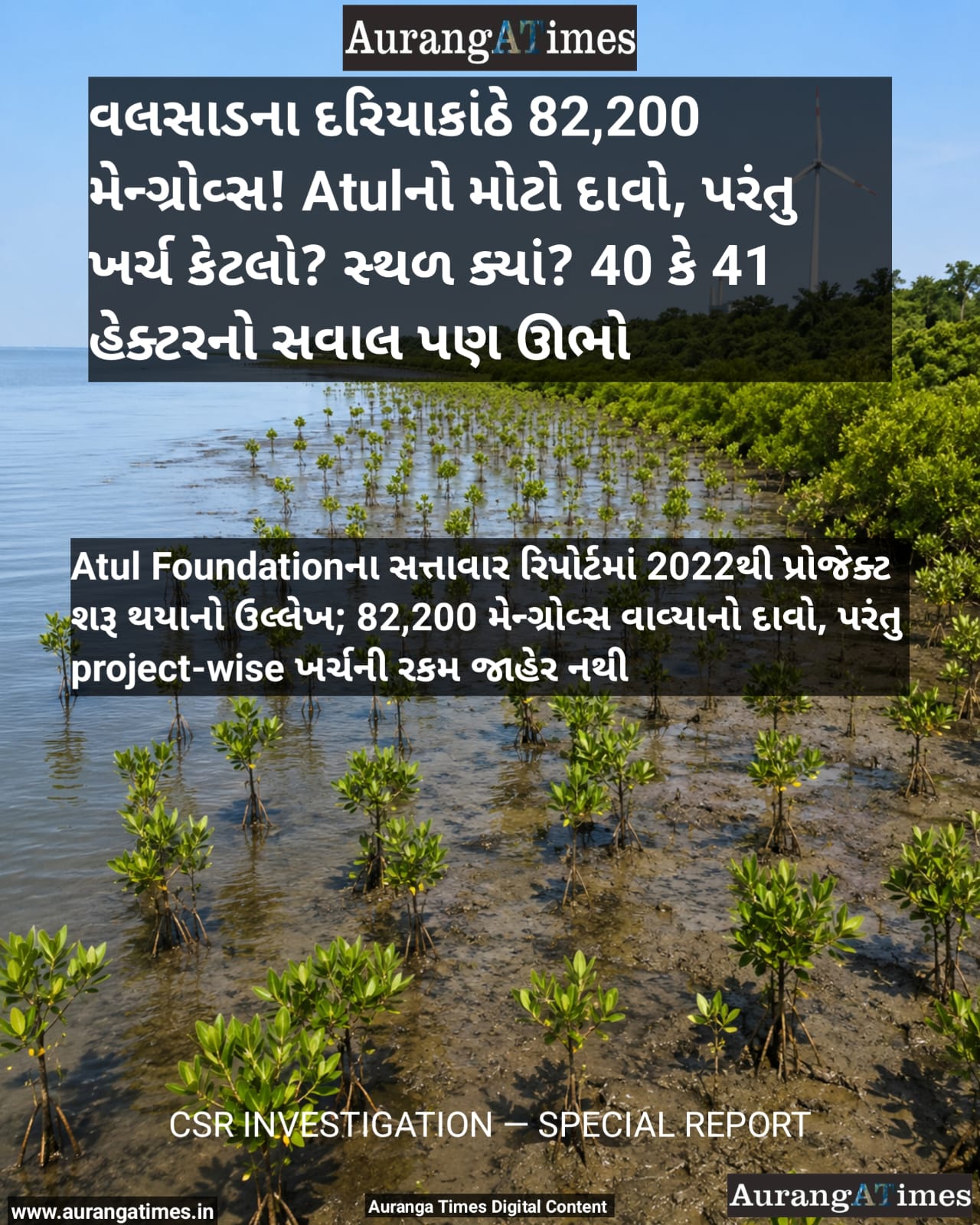 વલસાડના દરિયાકાંઠે 82,200 મેન્ગ્રોવ્સ! Atulનો મોટો દાવો, પરંતુ ખર્ચ કેટલો? સ્થળ ક્યાં? 40 કે 41 હેક્ટરનો સવાલ પણ ઊભો