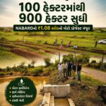100 હેક્ટરથી 900 હેક્ટર સુધી: આરોહણની કામગીરી બાદ બરવાળામાં ₹1.08 કરોડનો વોટરશેડ પ્રોજેક્ટ