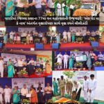 પારડીમાં જિલ્લા કક્ષાના 77મા વન મહોત્સવની ઉજવણી: ‘એક પેડ મા કે નામ’ અંતર્ગત વૃક્ષારોપણ સાથે વૃક્ષ રથને લીલીઝંડી