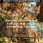 શિયાળ બદલાય છે, જાળ એ જ રહે છે! સિંહ, સિંહણ અને શિયાળની આ વાર્તામાં છુપાયેલો P3 માટેનો મોટો કટાક્ષ